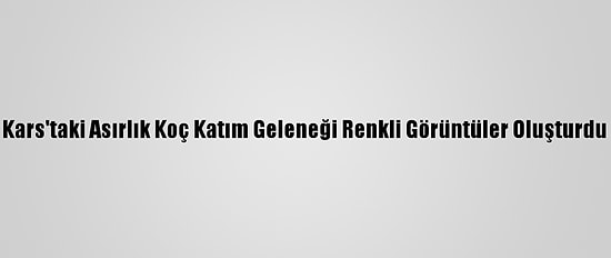 Kars'taki Asırlık Koç Katım Geleneği Renkli Görüntüler Oluşturdu