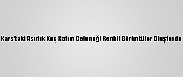 Kars'taki Asırlık Koç Katım Geleneği Renkli Görüntüler Oluşturdu