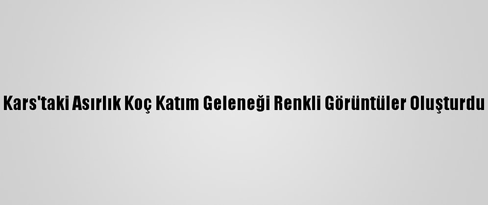 Kars'taki Asırlık Koç Katım Geleneği Renkli Görüntüler Oluşturdu
