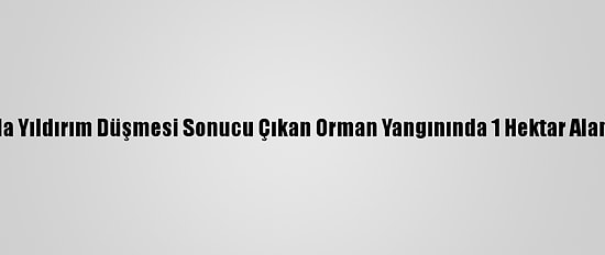 Kastamonu'da Yıldırım Düşmesi Sonucu Çıkan Orman Yangınında 1 Hektar Alan Zarar Gördü