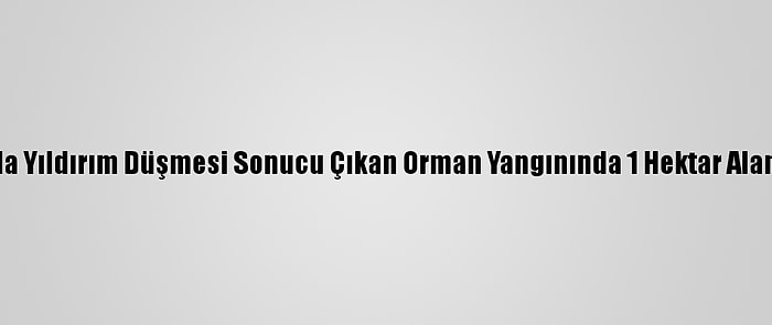 Kastamonu'da Yıldırım Düşmesi Sonucu Çıkan Orman Yangınında 1 Hektar Alan Zarar Gördü