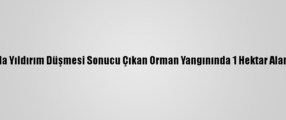 Kastamonu'da Yıldırım Düşmesi Sonucu Çıkan Orman Yangınında 1 Hektar Alan Zarar Gördü