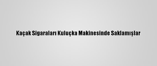 Kaçak Sigaraları Kuluçka Makinesinde Saklamışlar
