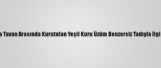 Konya'da Tavan Arasında Kurutulan Yeşil Kuru Üzüm Benzersiz Tadıyla İlgi Görüyor