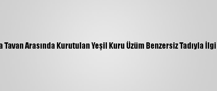 Konya'da Tavan Arasında Kurutulan Yeşil Kuru Üzüm Benzersiz Tadıyla İlgi Görüyor