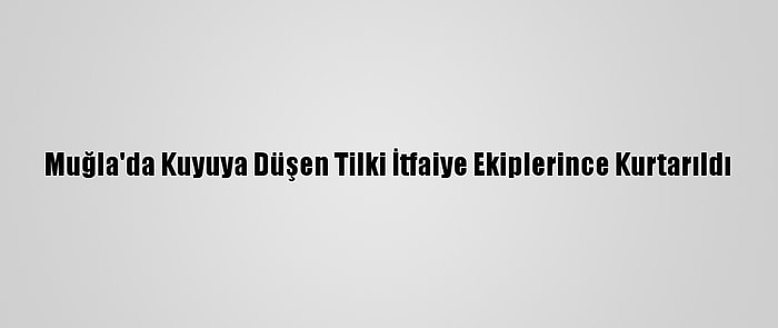 Muğla'da Kuyuya Düşen Tilki İtfaiye Ekiplerince Kurtarıldı