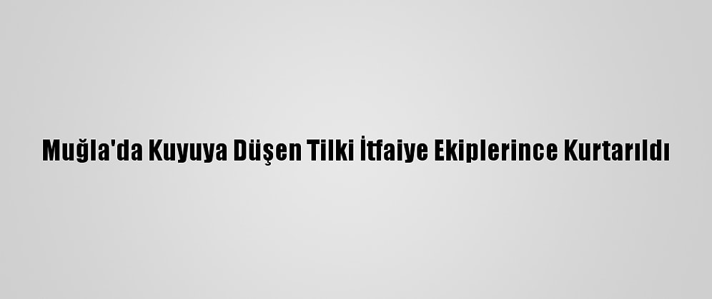 Muğla'da Kuyuya Düşen Tilki İtfaiye Ekiplerince Kurtarıldı