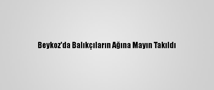 Beykoz'da Balıkçıların Ağına Mayın Takıldı