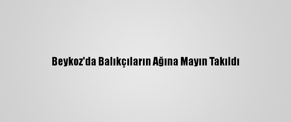 Beykoz'da Balıkçıların Ağına Mayın Takıldı