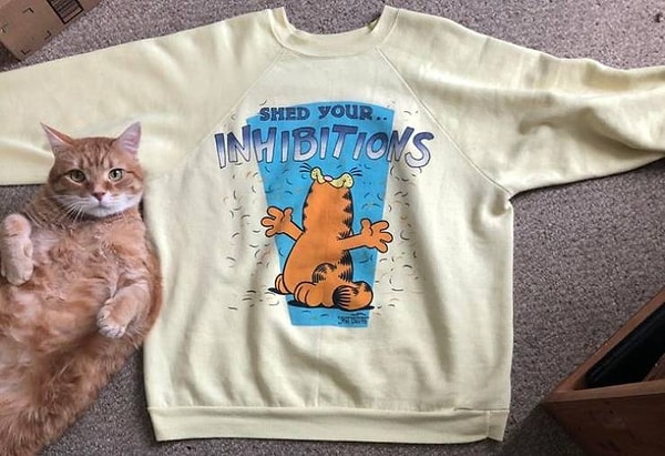 21. Блошиные рынки - это кладезь крутых вещичек.