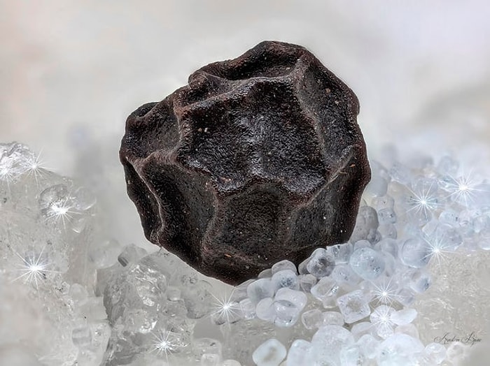 20 суперувеличенных фото, которые покажут привычные вещи в мельчайших деталях