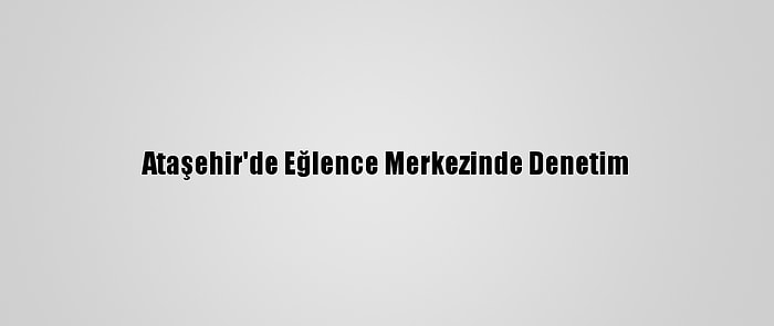 Ataşehir'de Eğlence Merkezinde Denetim