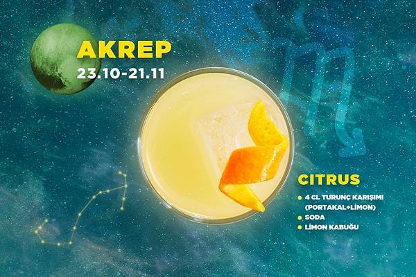 8. Akrep / Citrus