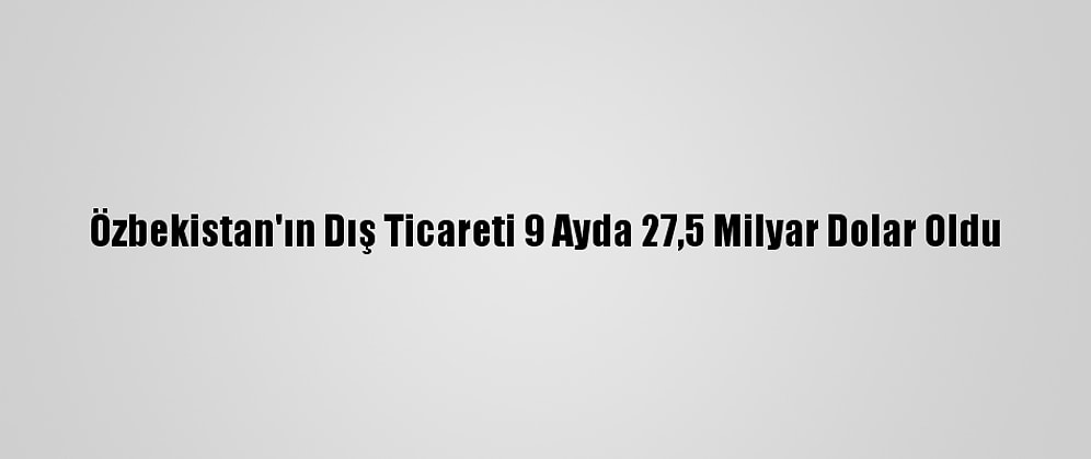Özbekistan'ın Dış Ticareti 9 Ayda 27,5 Milyar Dolar Oldu