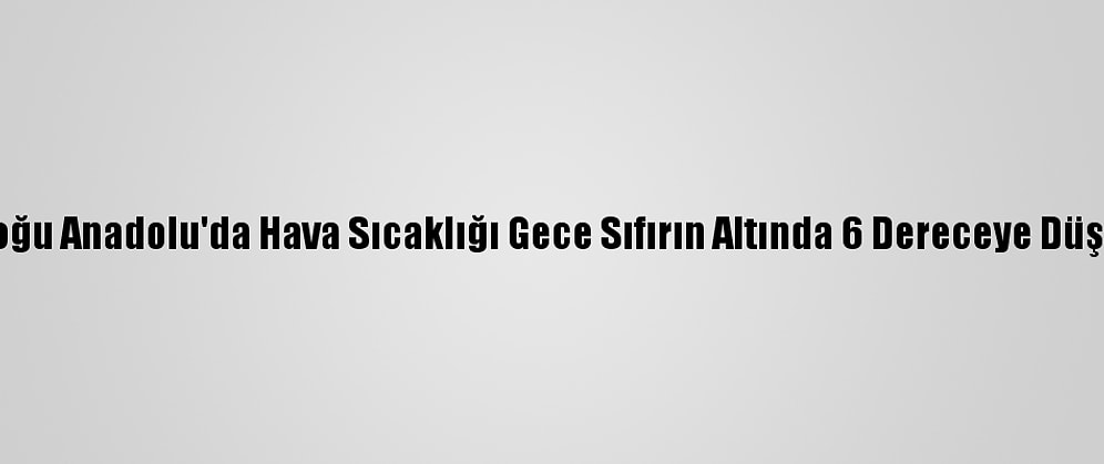 Doğu Anadolu'da Hava Sıcaklığı Gece Sıfırın Altında 6 Dereceye Düştü