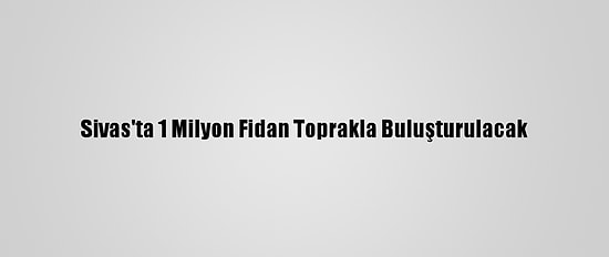 Sivas'ta 1 Milyon Fidan Toprakla Buluşturulacak