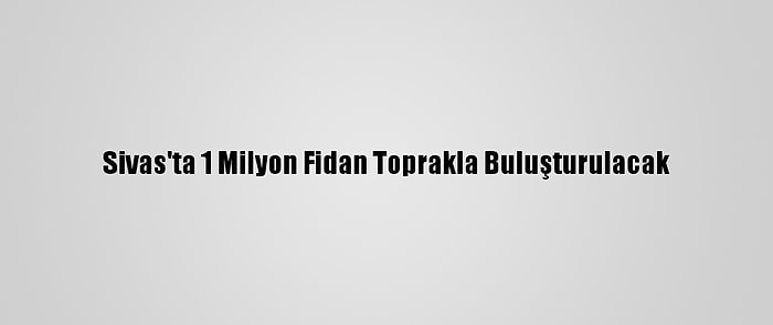 Sivas'ta 1 Milyon Fidan Toprakla Buluşturulacak