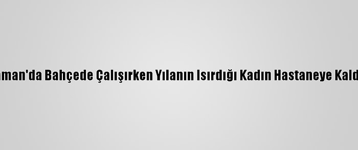 Adıyaman'da Bahçede Çalışırken Yılanın Isırdığı Kadın Hastaneye Kaldırıldı