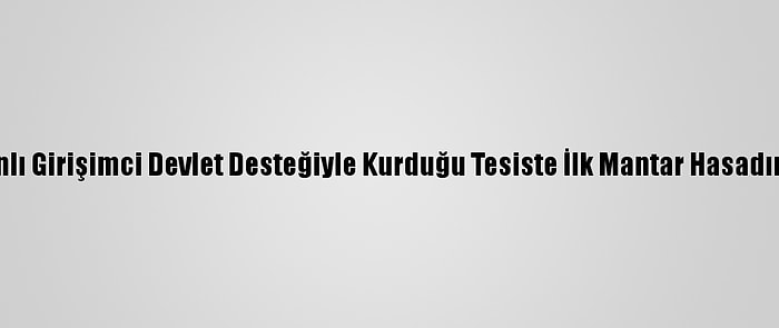 Batmanlı Girişimci Devlet Desteğiyle Kurduğu Tesiste İlk Mantar Hasadını Yaptı