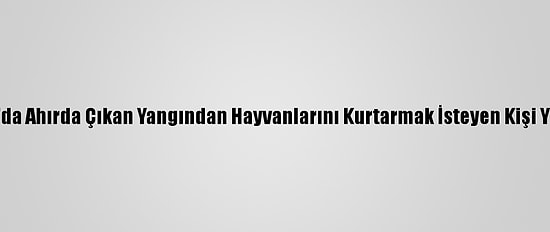 Samsun'da Ahırda Çıkan Yangından Hayvanlarını Kurtarmak İsteyen Kişi Yaralandı