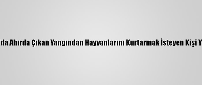 Samsun'da Ahırda Çıkan Yangından Hayvanlarını Kurtarmak İsteyen Kişi Yaralandı