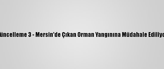 Güncelleme 3 - Mersin'de Çıkan Orman Yangınına Müdahale Ediliyor