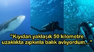 Dalgıçların Açık Suların Karanlık Derinliklerinde Yaşadıkları Birbirinden Korkutucu 12 Olay