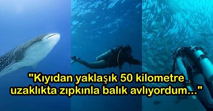 Dalgıçların Açık Suların Karanlık Derinliklerinde Yaşadıkları Birbirinden Korkutucu 12 Olay