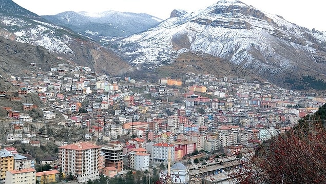 29. Gümüşhane