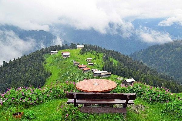 53. Rize