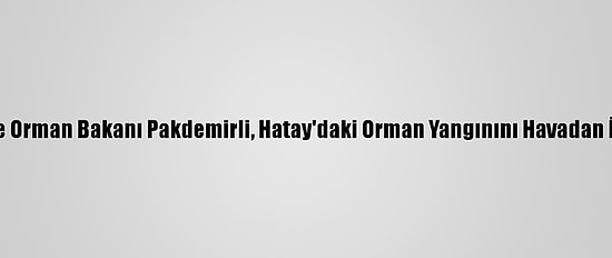 Tarım Ve Orman Bakanı Pakdemirli, Hatay'daki Orman Yangınını Havadan İnceledi