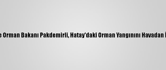 Tarım Ve Orman Bakanı Pakdemirli, Hatay'daki Orman Yangınını Havadan İnceledi