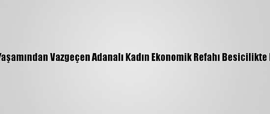 Kent Yaşamından Vazgeçen Adanalı Kadın Ekonomik Refahı Besicilikte Buldu