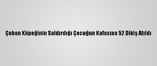 Çoban Köpeğinin Saldırdığı Çocuğun Kafasına 52 Dikiş Atıldı