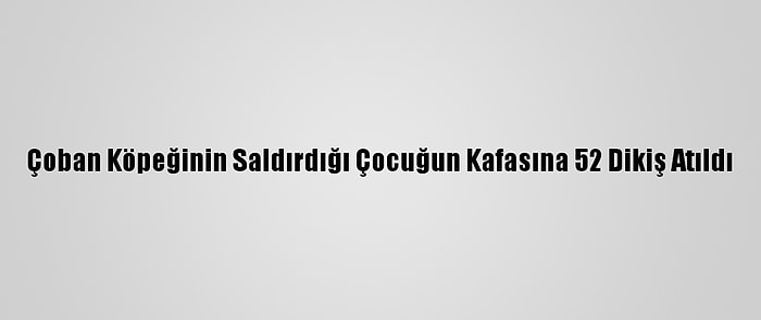 Çoban Köpeğinin Saldırdığı Çocuğun Kafasına 52 Dikiş Atıldı