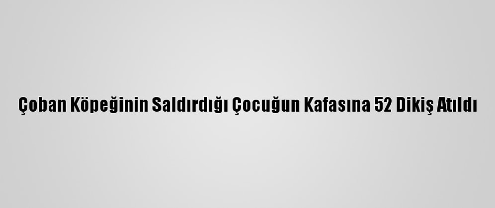 Çoban Köpeğinin Saldırdığı Çocuğun Kafasına 52 Dikiş Atıldı