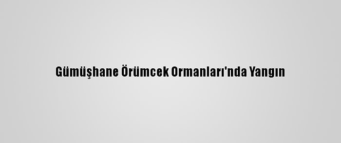 Gümüşhane Örümcek Ormanları'nda Yangın