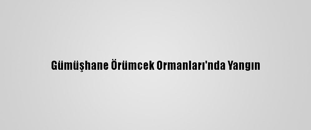 Gümüşhane Örümcek Ormanları'nda Yangın