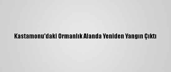 Kastamonu'daki Ormanlık Alanda Yeniden Yangın Çıktı