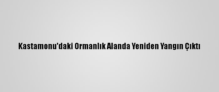 Kastamonu'daki Ormanlık Alanda Yeniden Yangın Çıktı