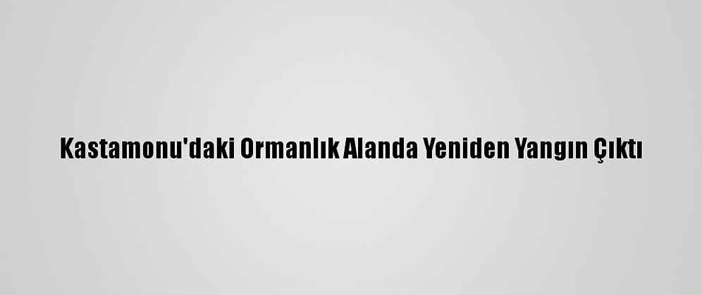 Kastamonu'daki Ormanlık Alanda Yeniden Yangın Çıktı