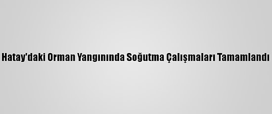 Hatay'daki Orman Yangınında Soğutma Çalışmaları Tamamlandı