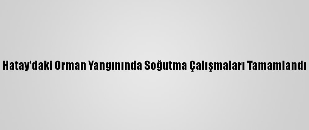 Hatay'daki Orman Yangınında Soğutma Çalışmaları Tamamlandı
