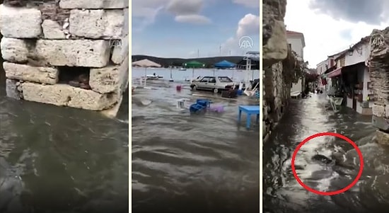 İzmir'deki Deprem Sonrası Oluşan Selin Görüntülerini Çekerken Babaannesinin Cansız Bedeniyle Karşılaşan Adamın Zor Anları