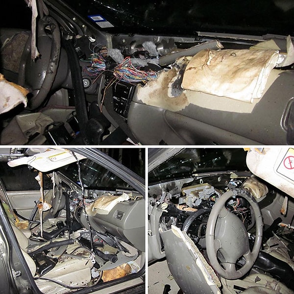 13. Что будет, если медведь вломится в машину