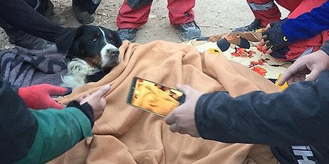 Depremde Enkaz Altında Kalan Ares Köpek 65 Saat Sonra Kurtarıldı