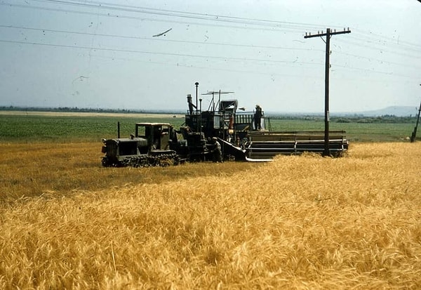 6. Уборка зерна