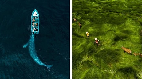 30 победителей номинации "Лучшая фотография с дрона 2020"