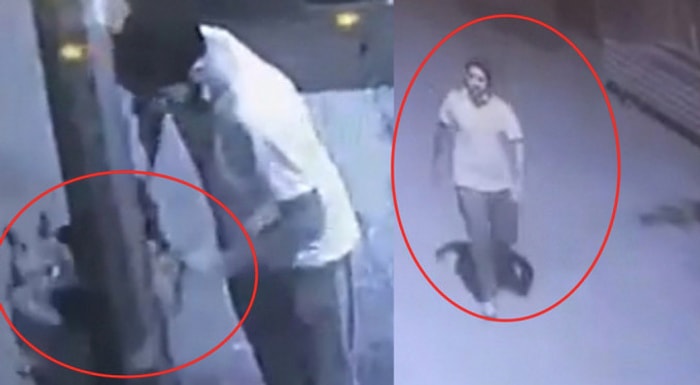 İşyerini Hırsızlardan Korusun Diye Kapı Önüne Bağlanan Köpeği Çalan Hırsızlar