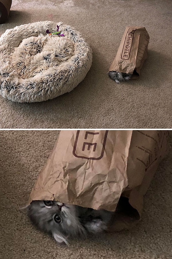 5. Купи ему кровать, говорили они